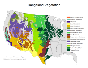 Rangeland Vegetation map